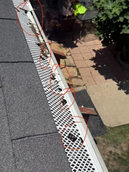 Gutter Problems - roofing problem example